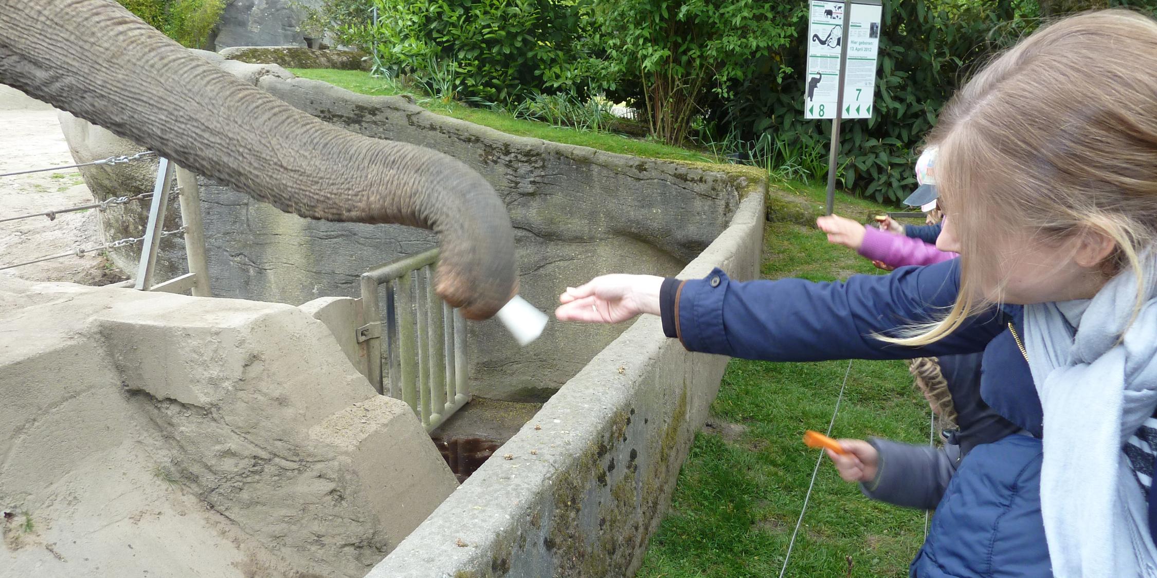 Ausflug in den Zoo